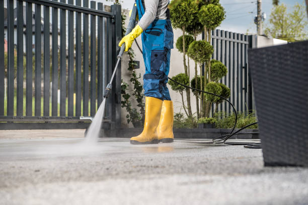 Best Roof Pressure Washing  in Albany, OR